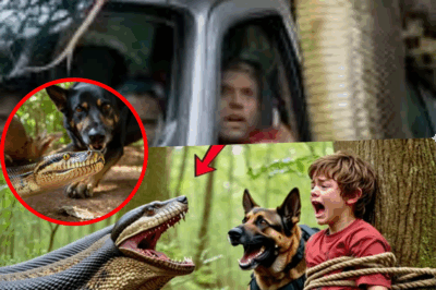 In a sleepy Oregon town, a loyal police dog faces off with a monstrous snake to rescue a missing child—but when the investigation digs deeper, detectives uncover a plot so chilling, so unthinkable, it tears apart the community and exposes the evil hidden behind a mother’s tears.