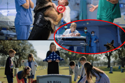 Hospital Horror: Retired K9 Blitz Breaks Into ER, Drops Newborn from Abandoned Basement—Police Discover Project Valance, Ongoing Human Testing, and Cover-Ups Linked to Missing Cops and Babies; Chilling Evidence of Torture, Silence, and a Town’s Nightmarish Secret Finally Brought to Light.