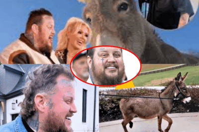 You Won’t Believe Which Animal Just Stole Jelly Roll’s Tattooed Heart: Watch as the Bold Singer Is Overwhelmed by Love Meeting His Rescue Donkey! The Jaw-Dropping Video That’s Melting the Internet—Fans Declare This the Cutest Celebrity Pet Moment of the Year!