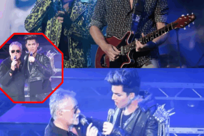 Experience an Unforgettable Night as Adam Lambert Joins Queen’s Roger Taylor and His Son for an Electrifying Performance of “Under Pressure”—Powerhouse Vocals, Legendary Drumming, and Pure Passion Ignite the Stage in a Spectacular Tribute That Honors Queen’s Legacy and Leaves Audiences Around the World Absolutely Speechless!