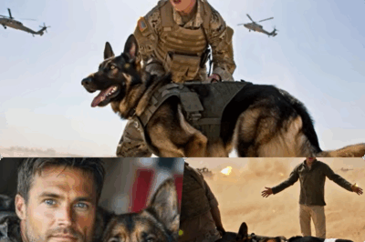 Abandoned K9 Soldier Wanders Streets in Despair, Becomes Local Legend as He Battles Killers and Terrorists—Unbreakable Loyalty That Stuns a City and Uncovers a Shocking Secret About His Handler’s Disappearance!
