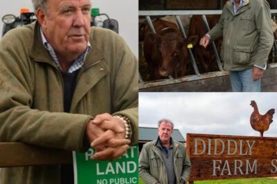 Jeremy Clarkson reveals ‘disastrous’ setback on Diddly Squat after crop fail