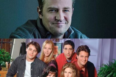 ‘I tried to help Friends’ Matthew Perry’ – late star’s pals speak up in new ITV film