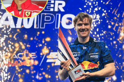 How Michael Schumacher inspired this sim racer’s bold Silverstone win !