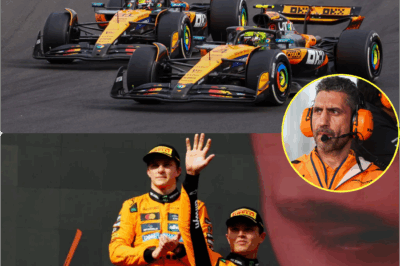 Andrea Stella Reveals He’s ‘Surprised’ by McLaren’s 2025 F1 Strategy – Could This Radical Decision Lead to a Major Game-Changer in Formula 1?