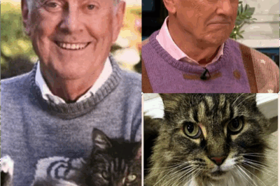 Gyles Brandreth fights back tears as he reveals his cat has died: ‘It was time to say goodbye’!