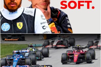 F1’s Hidden Struggles: Is the Sport Dealing with a Serious Personality Crisis That Could Derail Its Global Appeal? Experts Are Raising Concerns About F1’s Long-Term Survival in a Changing World