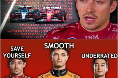 Hungarian GP 2025: The Shock Victory No One Saw Coming, A Heartbreaking Loss for a Star Driver, and the Controversial Moment That Had the Entire Paddock Talking Non-Stop All Weekend!