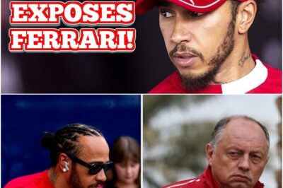 Lewis Hamilton Shocks F1 Fans as He Spills the Truth About Ferrari’s Internal Collapse – Secret Arguments, Team Chaos, and the Real Reason Behind the Sudden Shift Nobody Saw Coming!