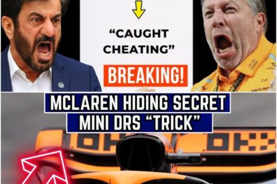 “McLaren’s Mini-DRS Ban: What’s Behind FIA’s SHOCKING Decision and What It Means for F1?” McLaren’s Mini-DRS system, once seen as an innovation, has now been banned by the FIA. What led to this shocking decision, and what could this mean for McLaren’s future in Formula 1? Is there more going on here than just a technical violation?