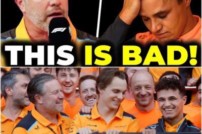 Massive Tension Unfolds at McLaren: CEO Drops a BOMBSHELL, Shaking the F1 Title Battle! What Does This Mean for Their Future?