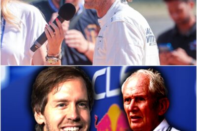 Sebastian Vettel hints at shocking return to F1 – Is a sensational comeback really on the cards?