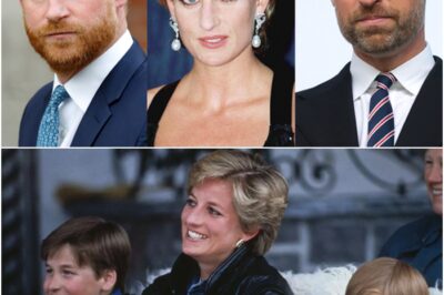 Heartbreaking update in Prince Harry and William feud as author drops Diana bombshell!