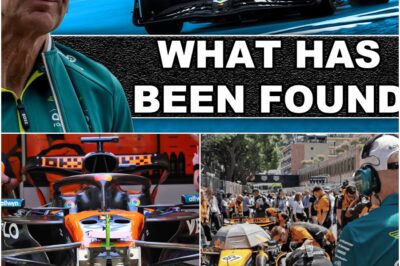 New McLaren Secret Uncovered & Big Newey Admission!