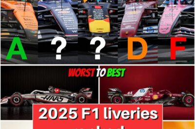 You think you know who’s winning F1 2025, but the mid-season grades tell a very different story – one filled with shocking flops, suspicious surges, and rankings that could spark the biggest debate the sport has seen in years.