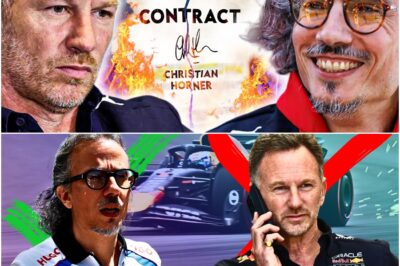 FINAL BLOW For Horner At Red Bull With TEAM PURCHASE Next Step!