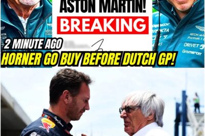 Rumours are swirling in the Formula 1 world as Christian Horner and Bernie Ecclestone are linked to a bold, secretive plan involving Aston Martin. Fans and insiders are whispering about shocking moves that could reshape the team’s future forever. Is something huge about to explode behind the scenes?