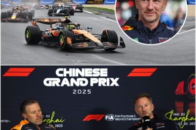 In a dramatic twist of Formula 1 history, Christian Horner once demanded the FIA outlaw McLaren’s mysterious new invention, labelling it an unfair trick, but the attempt to kill it only gave rise to the now-iconic DRS system that transformed racing, strategy, and overtaking forever in the sport’s modern era.