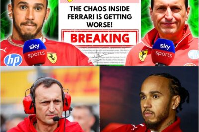 Ferrari crisis explodes as dramatic leak uncovers Hamilton’s heated row with his engineer before the Dutch GP. Tensions threaten to tear apart the team spirit, with experts warning this could be the biggest storm the Scuderia has faced in years, right before a crucial race weekend.