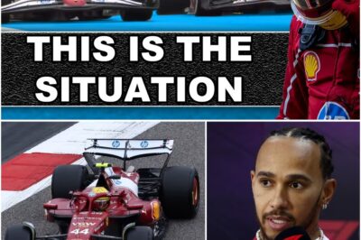 Shocking twist rocks the controversial Hamilton investigation as newly uncovered evidence reveals hidden truths long buried, sparking outrage, confusion, and speculation across the public, with many asking who is behind the cover-up and what explosive revelations could surface next in this high-stakes scandal.