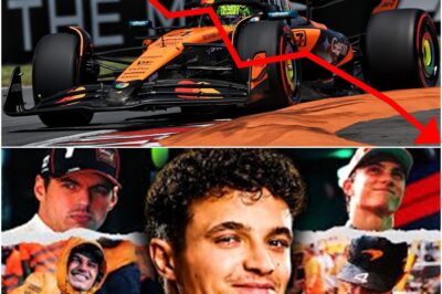 Lando Norris is missing out on the F1 title for unexpected reasons, from bad tactics to off-track issues. Let’s find out the 4 main reasons why this racer cannot maintain his form and continue to compete for the F1 title.