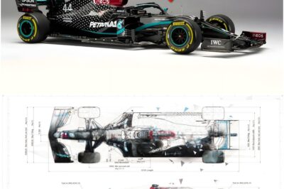 The Untouchable Beast: Uncovering the Secrets of the Mercedes W11, the Fastest F1 Car in History!