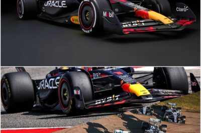 The Perfect Machine or a Brilliant Bending of the Rules? The Unsettling Legacy of Red Bull’s RB19!