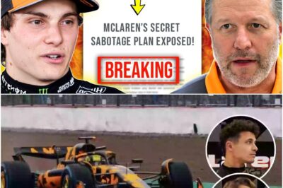 McLaren’s Civil War: The Explosive Rivalry Between Norris and Piastri Threatens to Tear the Team Apart!
