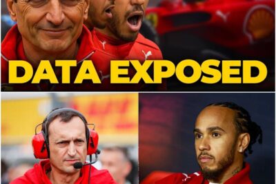 “Two Teams Pretending to Be One”: How Lewis Hamilton’s Arrival Has Ignited a Civil War Within Ferrari