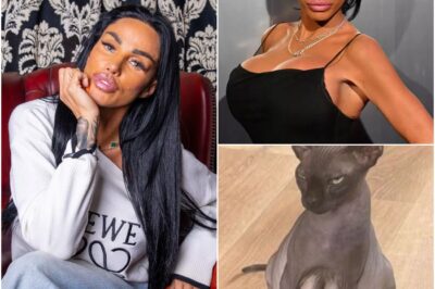 Katie Price reveals fresh pet tragedy as kitten dies hours after being born!