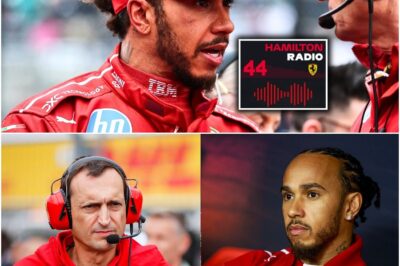 Lewis Hamilton Drops a BOMBSHELL on Ferrari Engineer During a Tense Moment at Zandvoort, Sparking Wild Reactions Across the F1 Paddock! Could This Tension Spill Over Into the Next Race?
