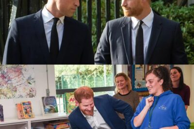 EXCLUSIVE: Prince Harry goes head-to-head with William as warring brothers issued ‘painful’ warning