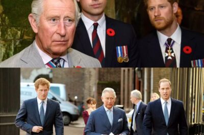 King Charles ‘less irritated with Harry than William’ royal insider claims in shock update