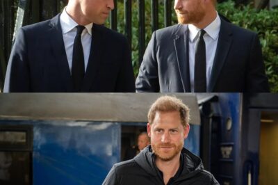 EXCLUSIVE: ‘Prince Harry’s bombshell interview guarantees bitter reality for Prince William’