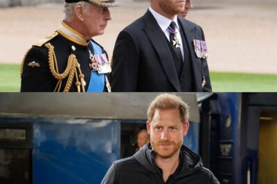 EXCLUSIVE: Prince Harry has ‘set Palace alarm bells ringing’ with ‘naive’ move after Charles reunion – bb