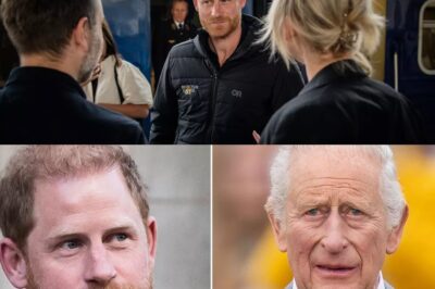 Harry and King to meet ‘regularly’ with plans for public appearance – bb