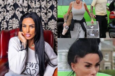 Frail Katie Price seen for first time since undergoing medical tests amid cancer fears