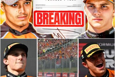 Verstappen’s Shocking Return Pushes McLaren into Internal Crisis: The F1 Battle Is Completely Transformed!