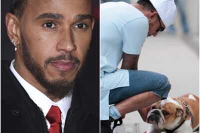Lewis Hamilton supported as he shares heartbreaking news about dog!