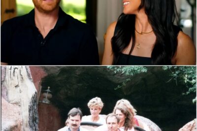 Prince Harry recalls memory with brother William in Disneyland special!