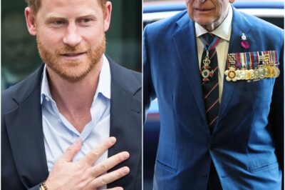 Prince Harry slams claim he felt like ‘official visitor’ at King Charles meeting!