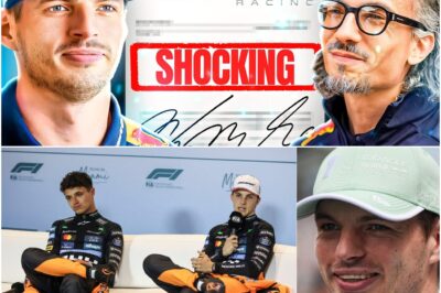 McLaren’s Nightmare: Red Bull’s Terrifying Resurgence Ignites Championship Panic