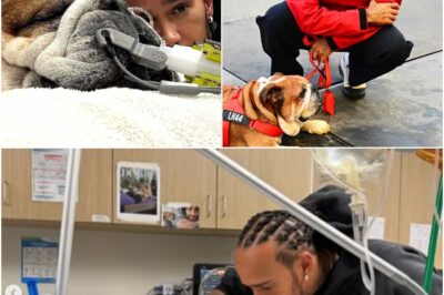 The Fight of His Life: Lewis Hamilton’s World Stops as Beloved Dog Roscoe Lies in a Coma After Heart Stops