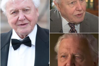 Sir David Attenborough on ‘nasty’ surgery after shock heart op: ‘I’m not going through that again’!