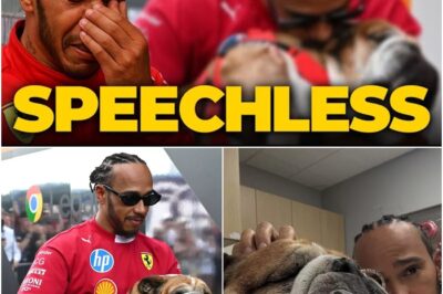 The Heartbreaking Loss of Roscoe: Lewis Hamilton Faces the Deepest Personal Grief on the Eve of the Singapore Grand Prix