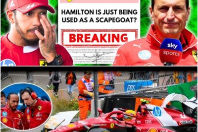 EXCLUSIVE: Hamilton and Ferrari Engineer Reveal SHOCKING Behind-The-Scenes Secrets After The Team’s Collapse At Dutch GP – What Happened? Uncover The Explosive Facts That Were Suppressed, Exposing A Dark Side To Ferrari’s Crisis That Fans Never Expected!