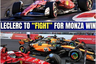 “Monza Day 1 – Ferrari’s Unexpected Surge: Is Leclerc Really a Threat for the Win? The Pit Lane is Talking, and This Weekend Could See Ferrari’s Redemption! What Will Happen Next?