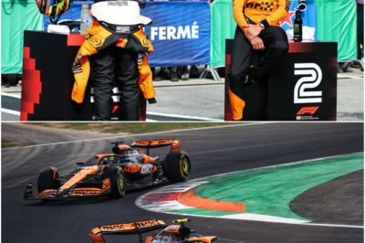 What Oscar Piastri did to beat Lando Norris to Dutch GP pole revealed by McLaren F1 boss!