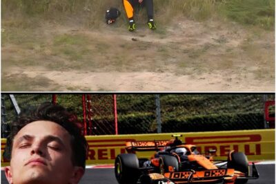 One Lap of Heartbreak: How a Single Failure Shattered Norris’s Title Dream and Handed Piastri the Crown!