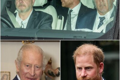 Prince Harry finally reunites with King Charles for tea lasting just 55 minutes!